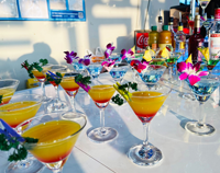 会议茶歇、户外烧烤、高级私厨上门服务